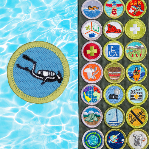 Scouting Merit Badge next to a collection of other Merit Badges