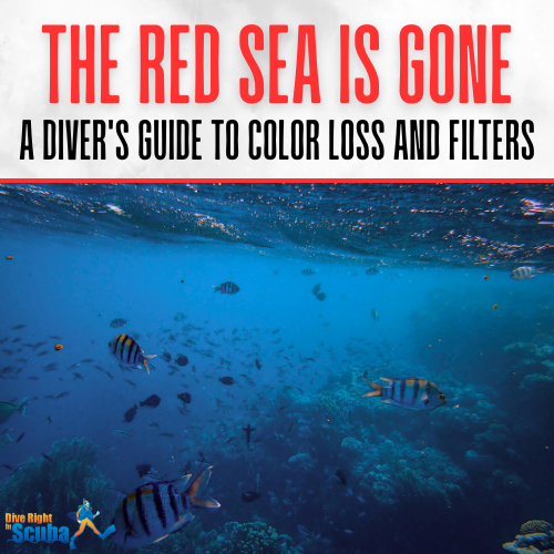 A guide to color loss and filters