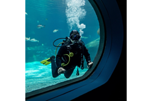 A diver in an aquarium looking out a glass partition