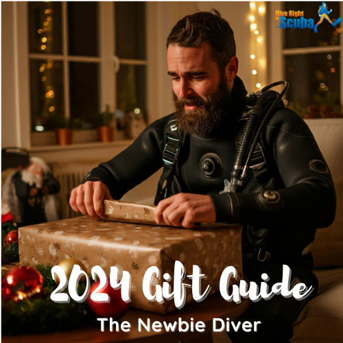 Gift Guide: The Newbie Diver
