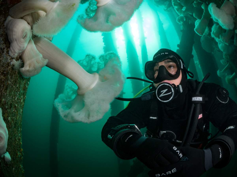 Diver underwater wearing a BCD