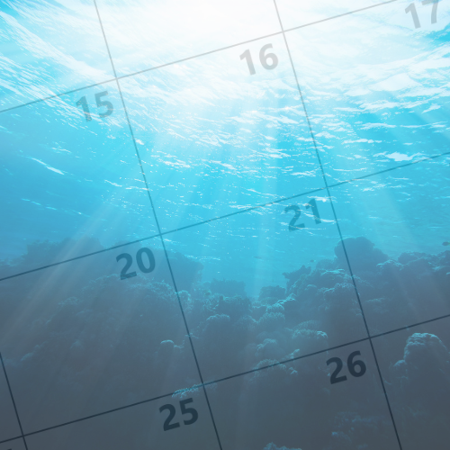 Calendar surrounded by water