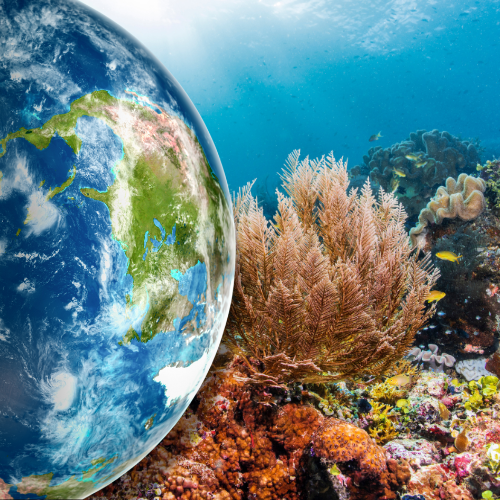 An image of the earth superimposed over an image of underwater marine life.