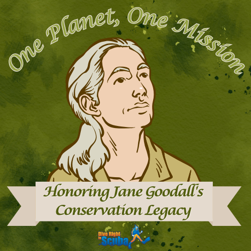 Jane Goodall's Conservation Legacy