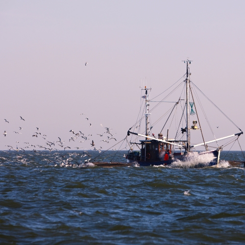 A fishing trawler in the open water