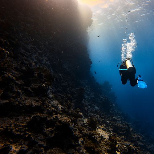 Time to Thaw Out: Spring Dive Gear Essentials