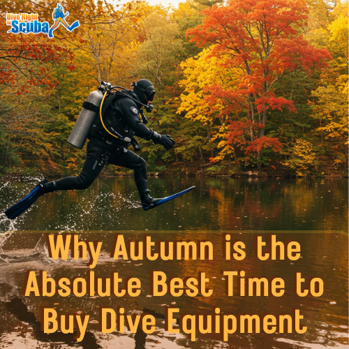 A scuba diver jumping into a pond during autumn.