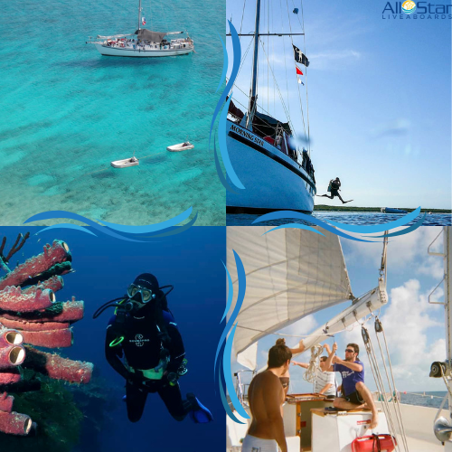 Blackbeard's Liveaboard in the Bahamas