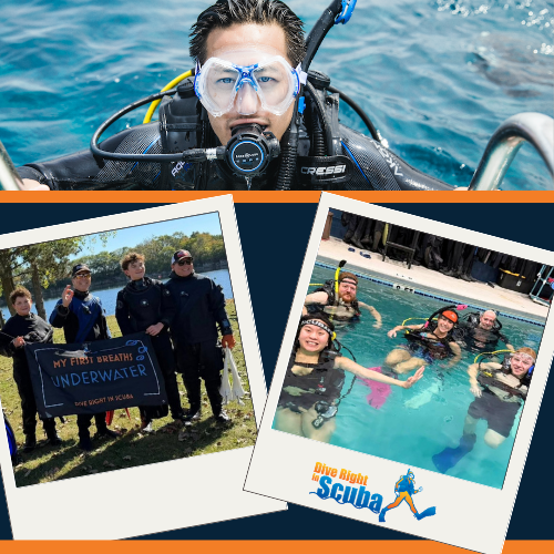 Open Water Diver Certification Courses