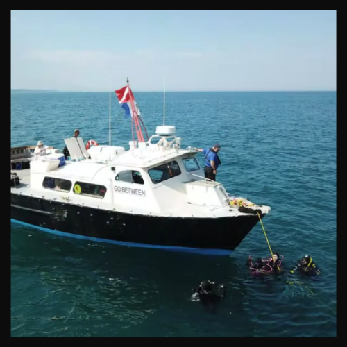dive boat in the water