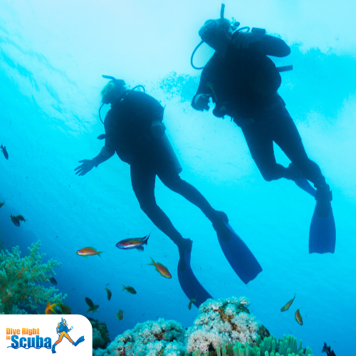 Two divers underwater