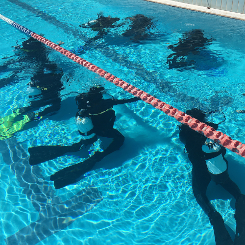A group of divers in a pool
