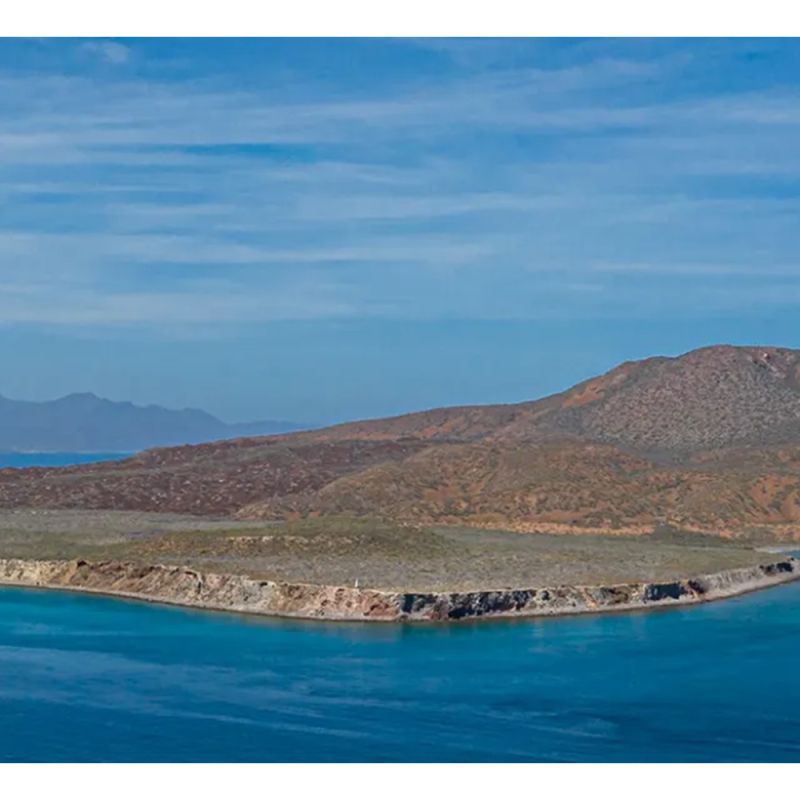 Sea of Cortez, Mexico