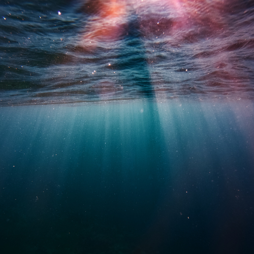 Image of the ocean from underwater