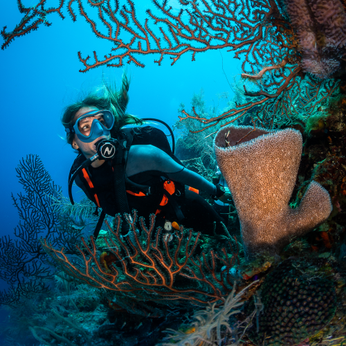 Diver underwater wearing the PRO HD IMPACT BCD