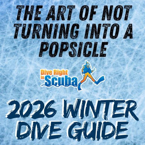 2026 Winter Dive Guide
