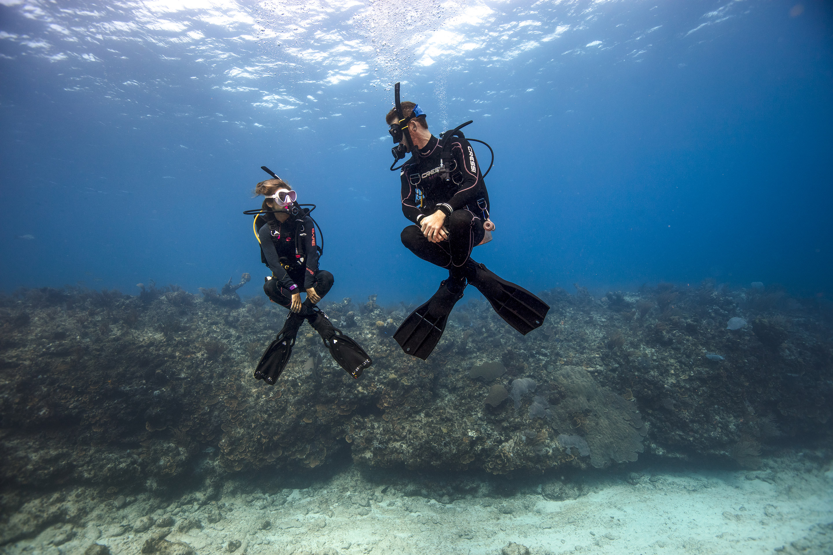 Open Water Scuba Certification