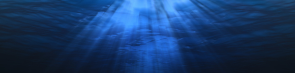 Dive Log Books & Refills