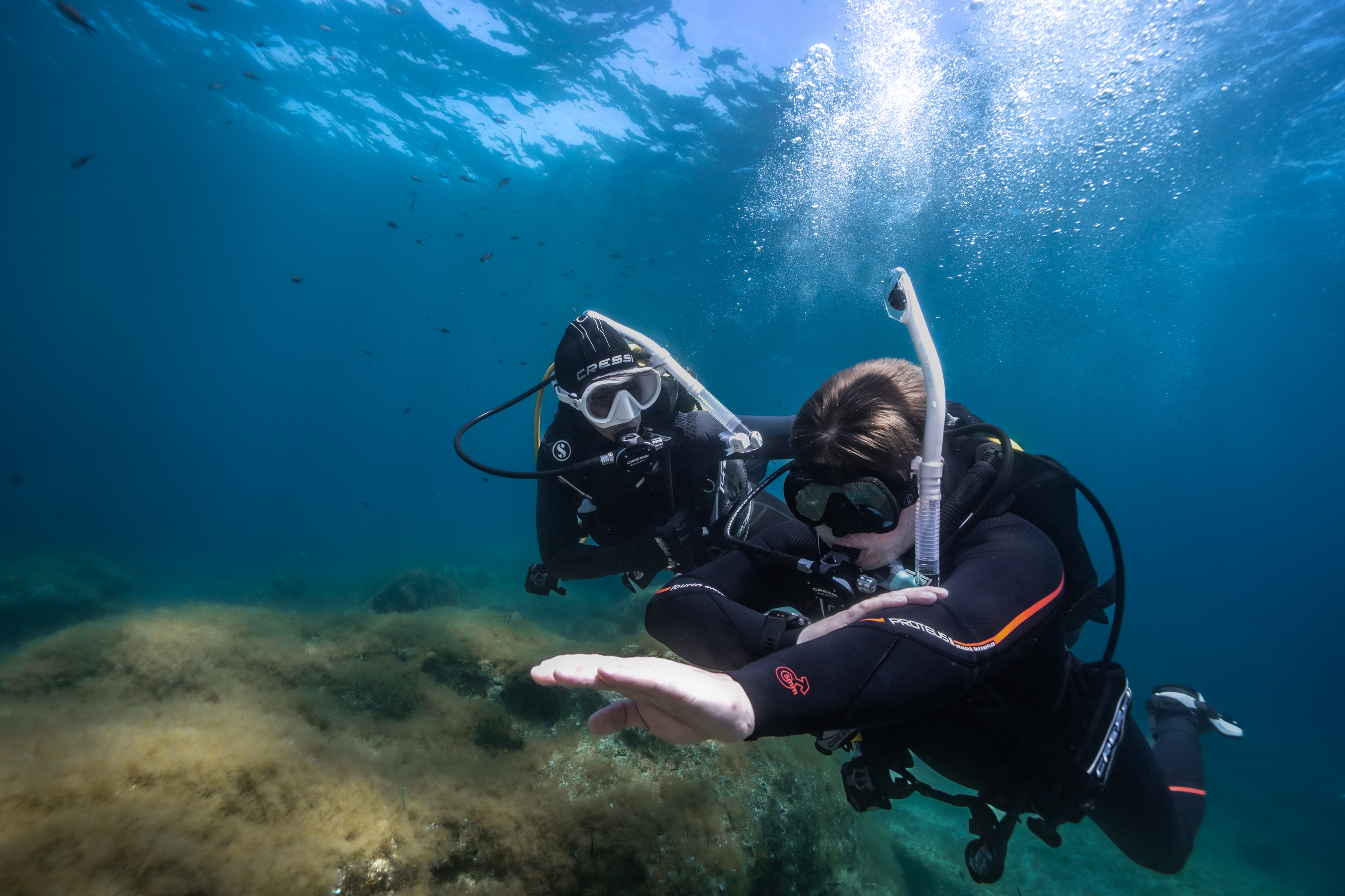 Master Scuba Diver