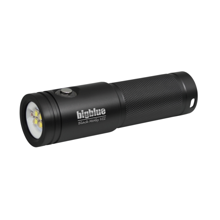 Black Molly V: 2900-Lumen Video Light