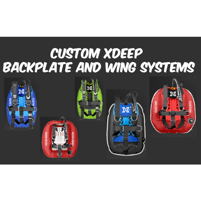 Custom Backplate and Wing Systems
