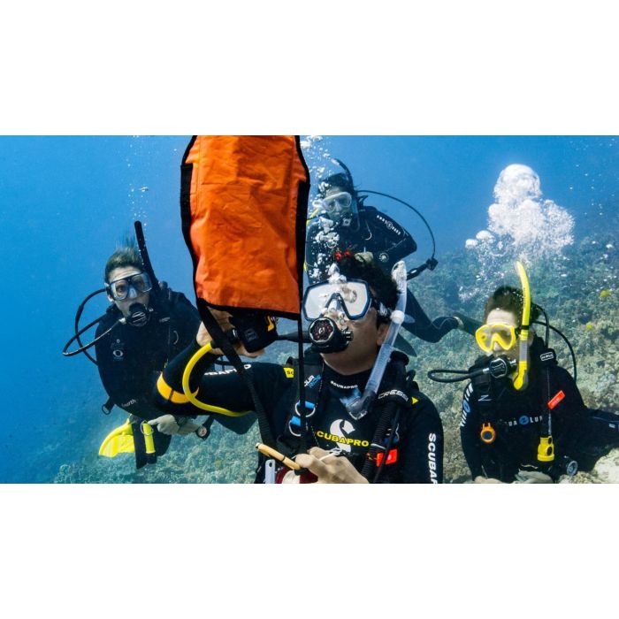 PADI DSMB Course