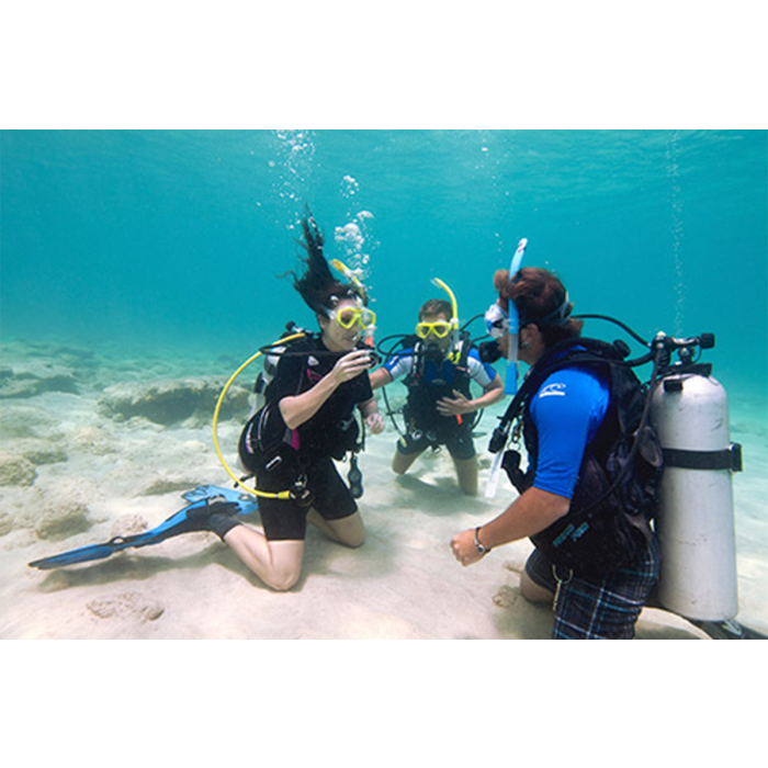 PADI Open Water Scuba Instructor (OWSI) Program