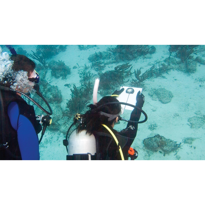 PADI Underwater Navigator Course