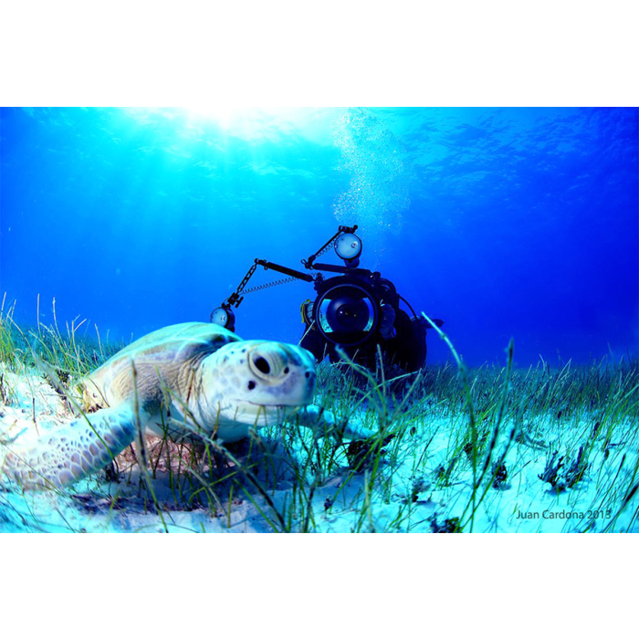 SDI Underwater Photographer Diver Course