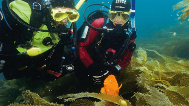 PADI Drysuit Diver Course