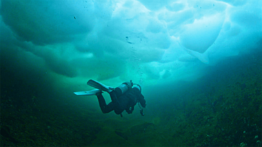 PADI Ice Diver Course