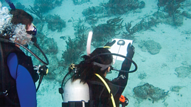 PADI Underwater Navigator Course