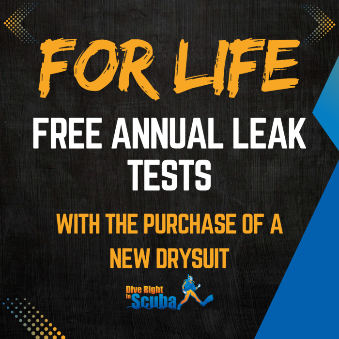 Annual Leak Tests For Life