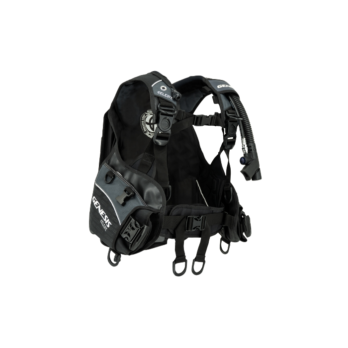 Celeste Women's BCD