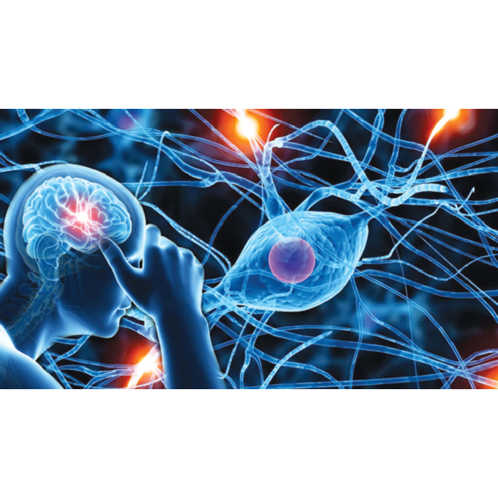 PADI Neurological Assessment Provider Course (Virtual Class)