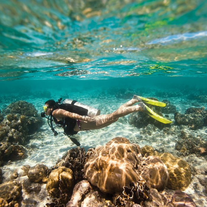 SDI Open Water Referral Certification