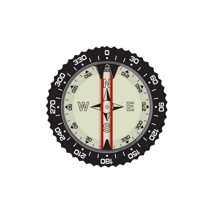 Compass Module