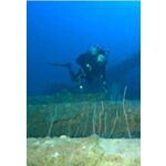 Advanced Wreck Diving