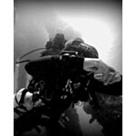 TDI Technical Divemaster