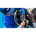 PADI Assistant Instructor Course