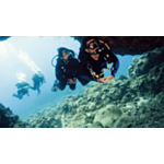 PADI Cavern Diver Course