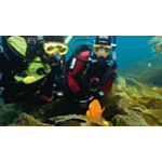 PADI Drysuit Diver Course