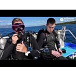 PEREGRINE - Embark on your adventure in diving with Shearwater