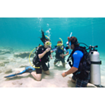 PADI Open Water Scuba Instructor Upgrade