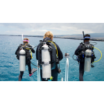 PADI Instructor Development Course - Become a PADI Instructor