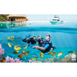 PADI Open Water Referral Certification