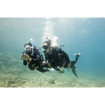 SDI Underwater Navigation Course