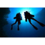 PADI Specialty Instructor Course