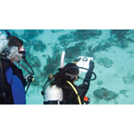 PADI Underwater Navigator Course