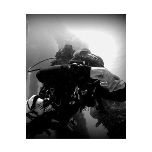 TDI Technical Divemaster